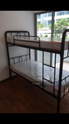A Treasure Trove (D19), Condominium #115152512